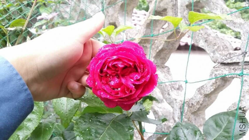 QQͼƬ20150509094910.jpg