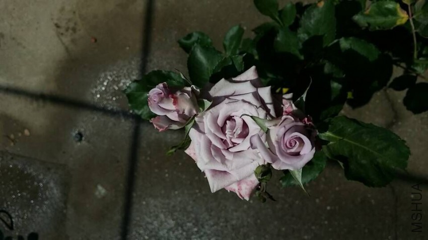 QQͼƬ20150509095716.jpg