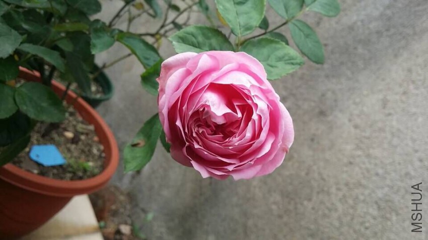 QQͼƬ20150509095736.jpg