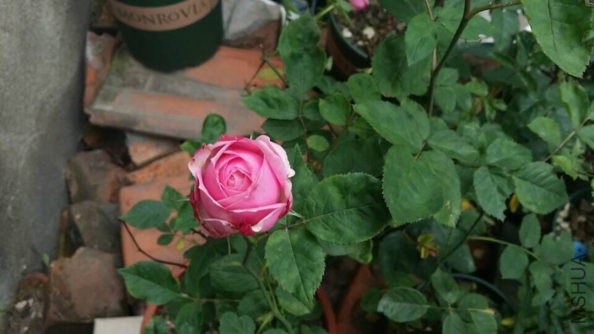 QQͼƬ20150509095739.jpg