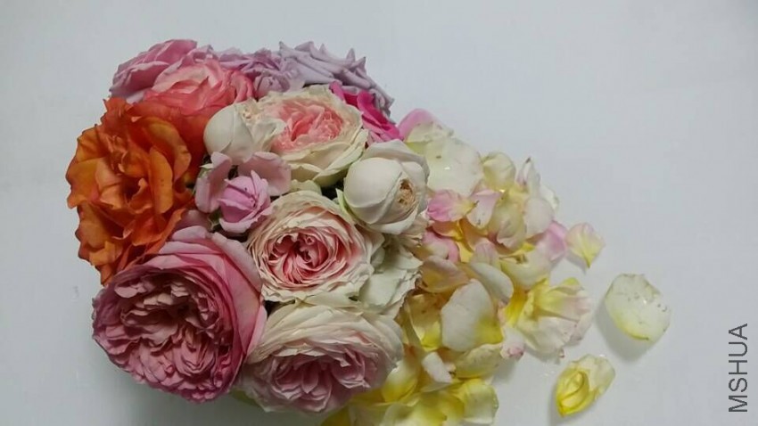 QQͼƬ20150509094937.jpg