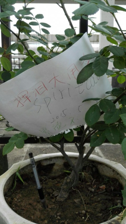 ���ܶ�������