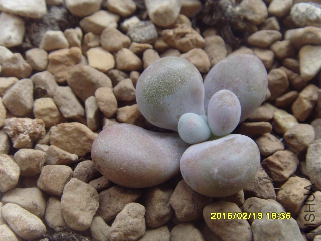 2������ҵ�