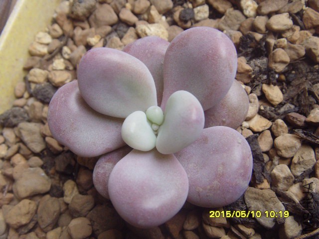 3���µľ�������