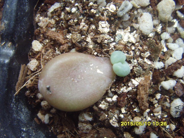 Ϊ���ı���,���ľ���һƬ~