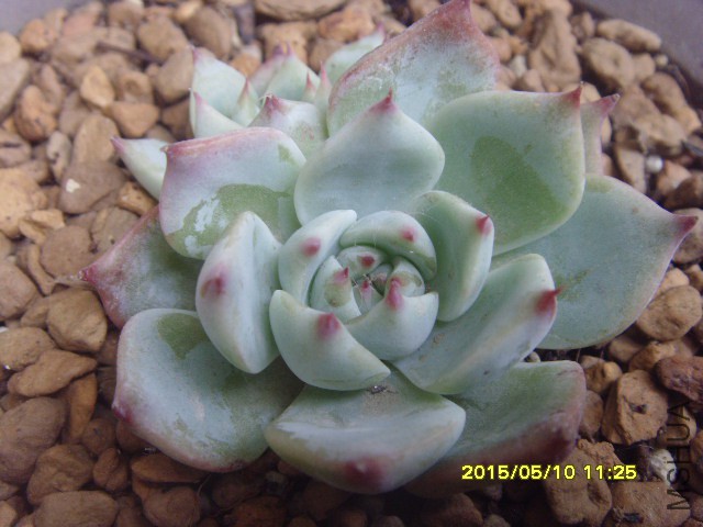 ������,���޲�����,�������ڸ��㿴~