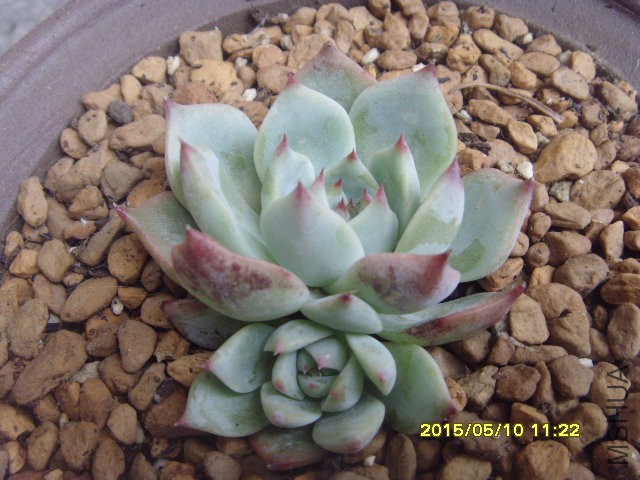 С����Ҳ¶����,Ц....Ц��.....