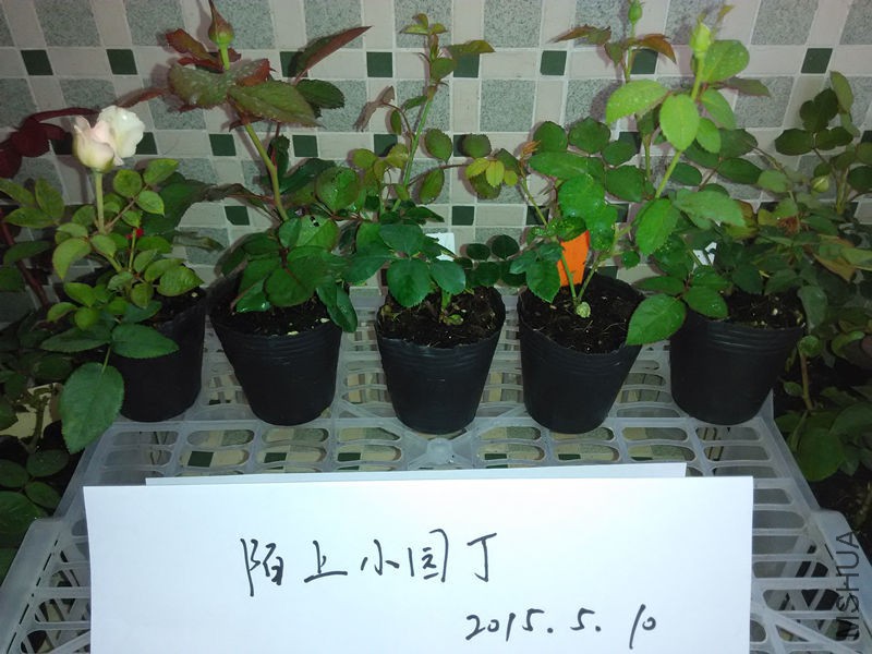 �պ��Ұ�����ع���ͼͼ�췽ҹ̷.jpg