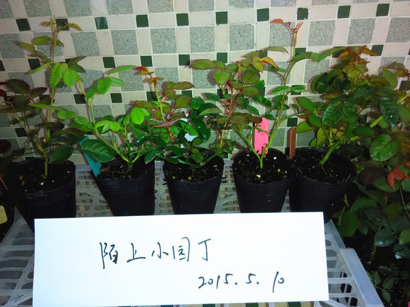 �췽ҹ̷�ƽ���䰲�������ɾ��������.jpg