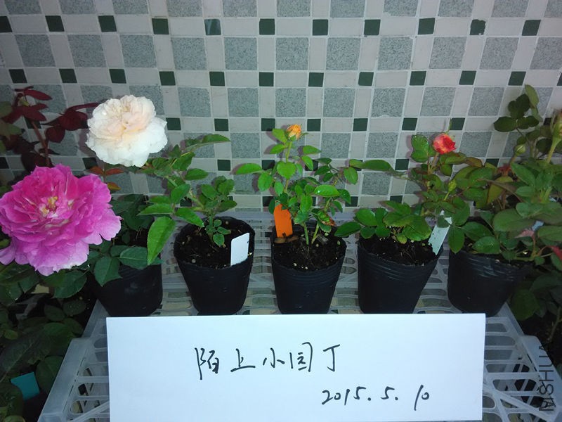 �췽ҹ̷�պ�ͼͼâ������������.jpg
