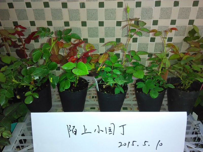 ά����������췽ҹ̷���Իò�.jpg
