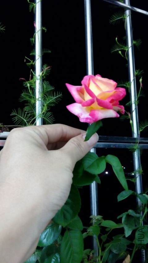 QQͼƬ20150510120405.jpg