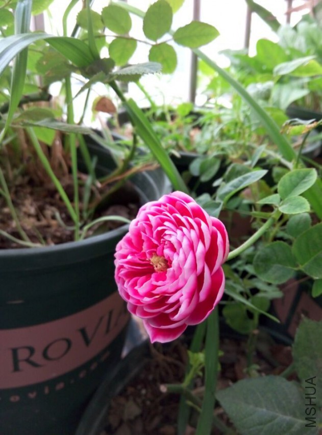 QQͼƬ20150510120351.jpg