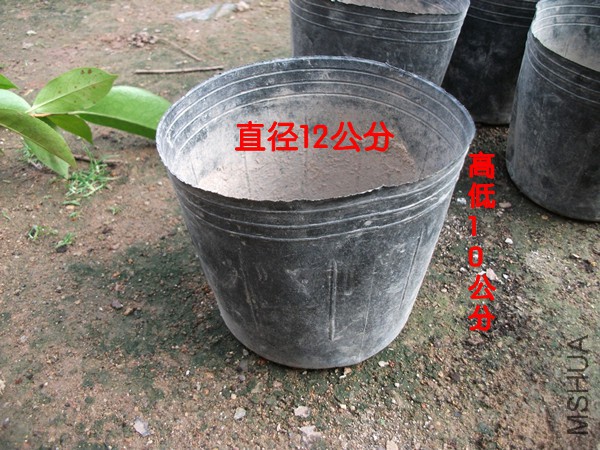 DSCF0057_����.jpg