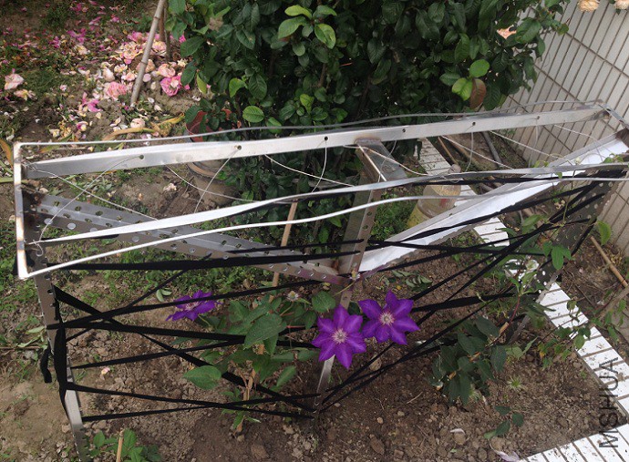 QQ��ͼ20150510182642.jpg