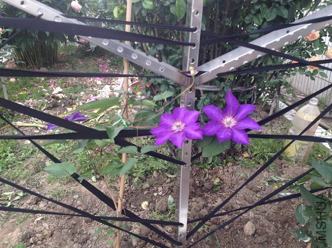 QQ��ͼ20150510182700.jpg