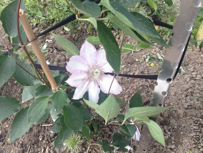 QQ��ͼ20150510182711.jpg