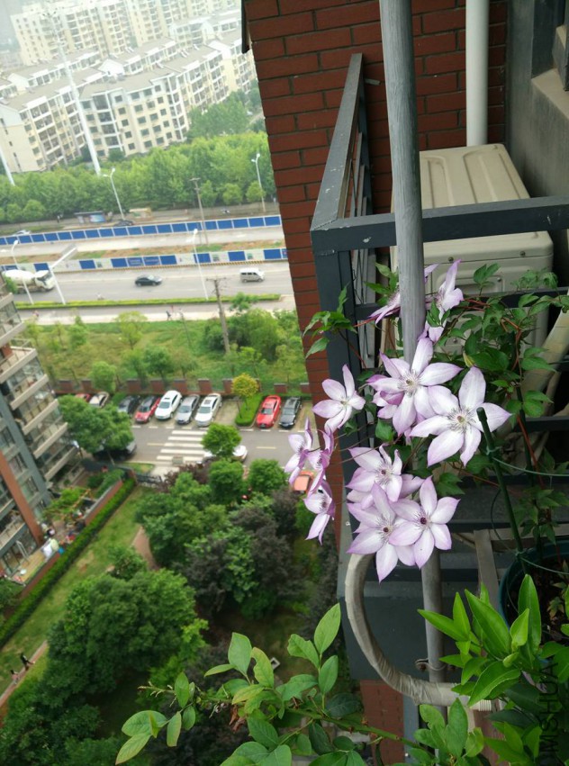 �޸�1.jpg