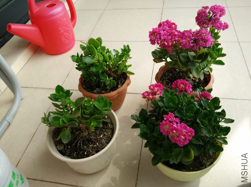 �޸�6.jpg