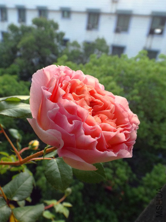 9345d688d43f8794e344f8e8d61b0ef41ad53ab8 (1).jpg