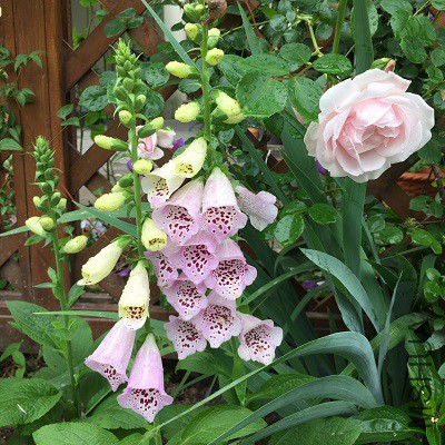 2015-05-11 064928.jpg