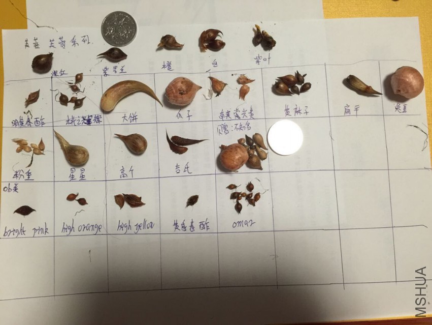 QQͼƬ20150511075935.jpg