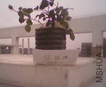 IMG4014A.jpg