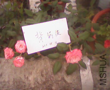 IMG4012A.jpg