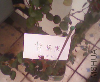 IMG4008A.jpg