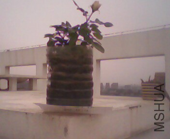 IMG4005A.jpg