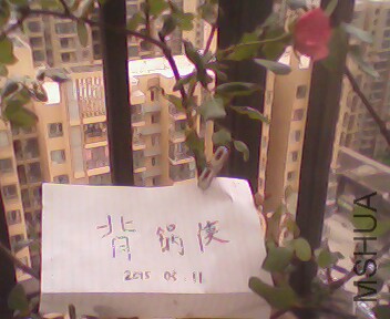 IMG4017A.jpg