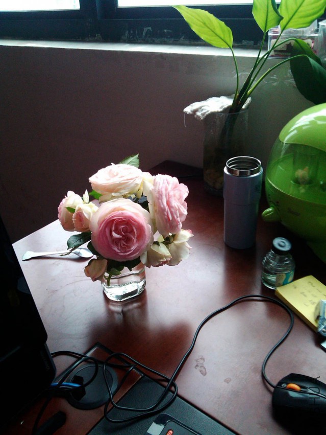 IMG_20150511_130517.jpg