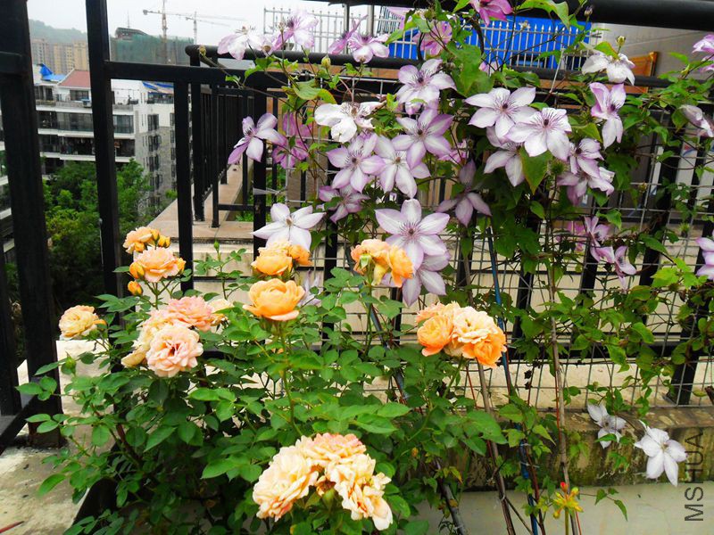 ���а� ��6.jpg