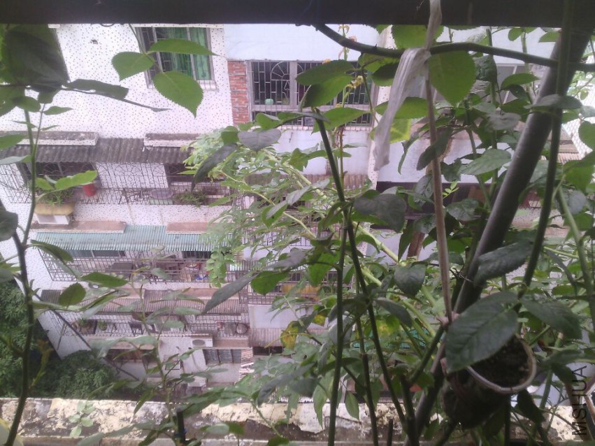QQͼƬ20150511143348.jpg