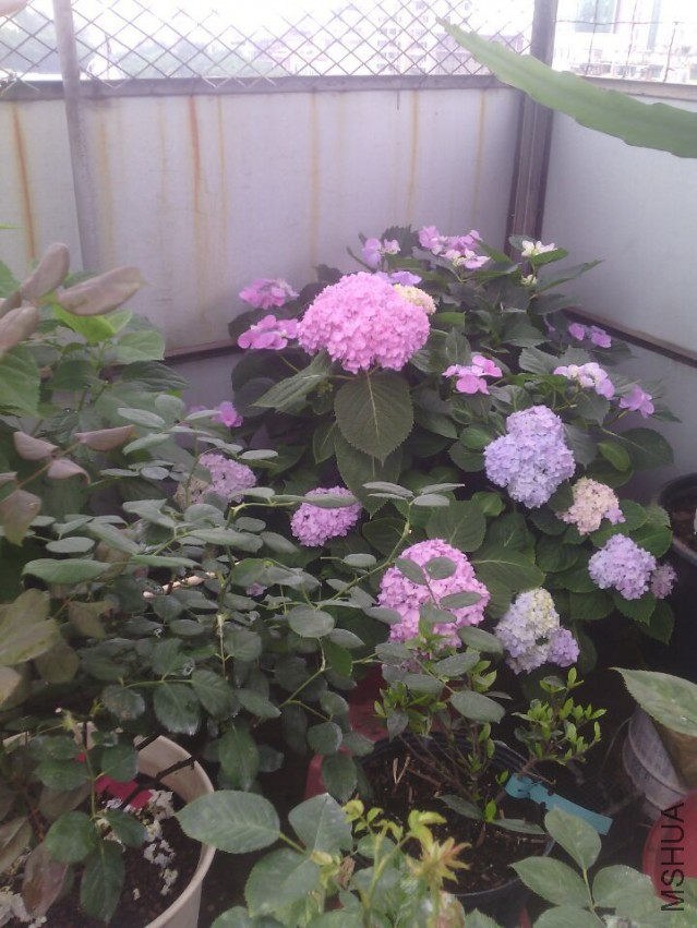 QQͼƬ20150511143356.jpg