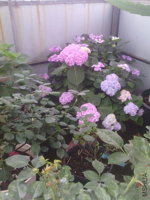 QQͼƬ20150511143352.jpg