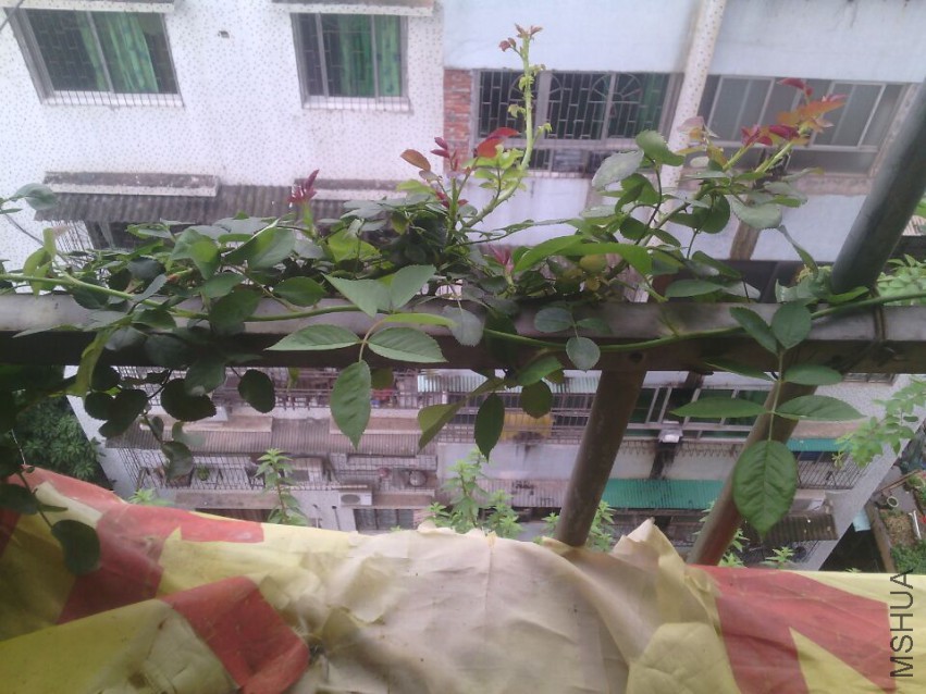QQͼƬ20150511143344.jpg