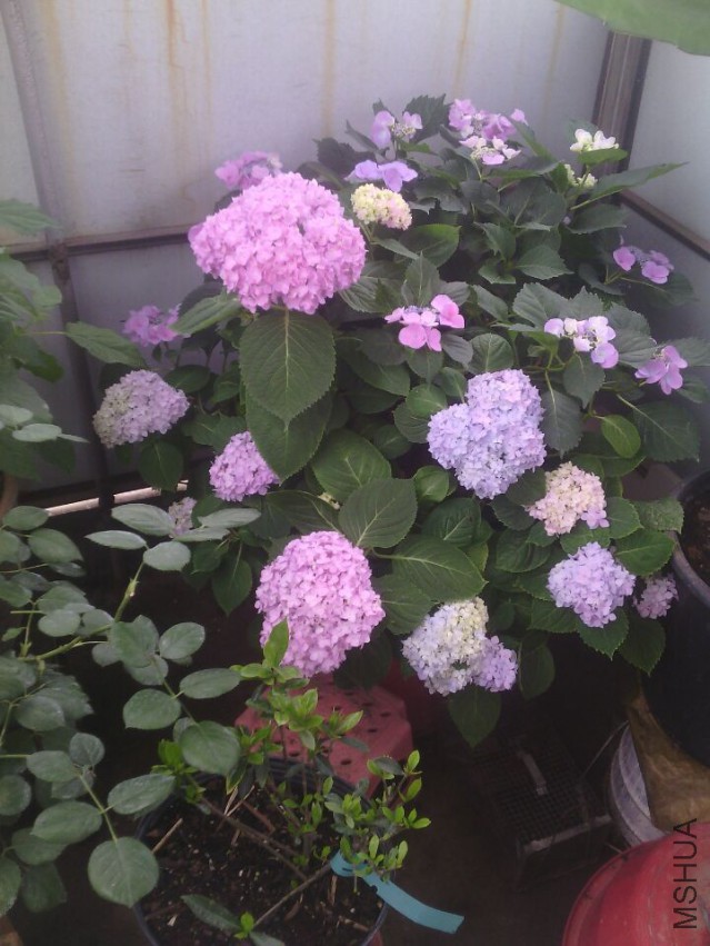 QQͼƬ20150511143328.jpg