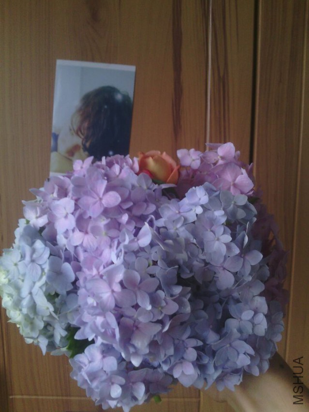 QQͼƬ20150511143321.jpg