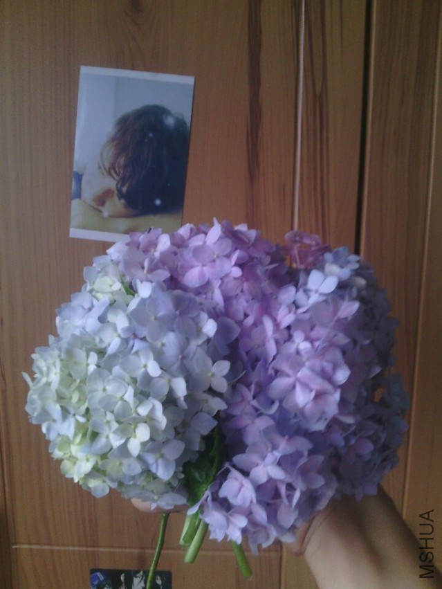 QQͼƬ20150511143317.jpg