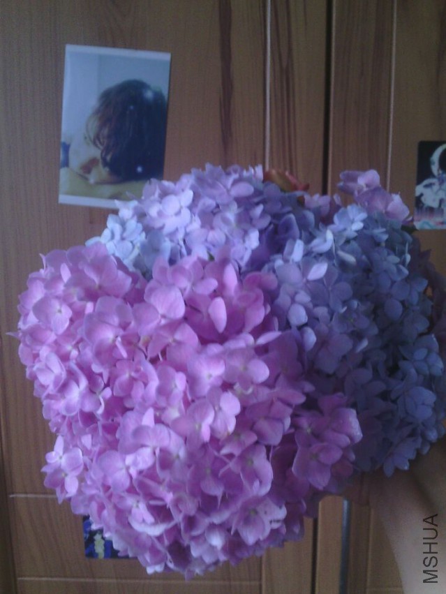 QQͼƬ20150511143304.jpg