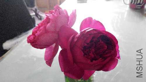 IMG_20150510_112618.jpg