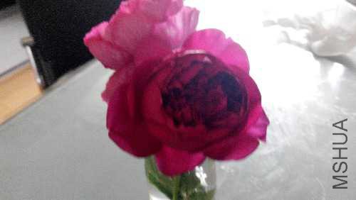 IMG_20150510_112257.jpg