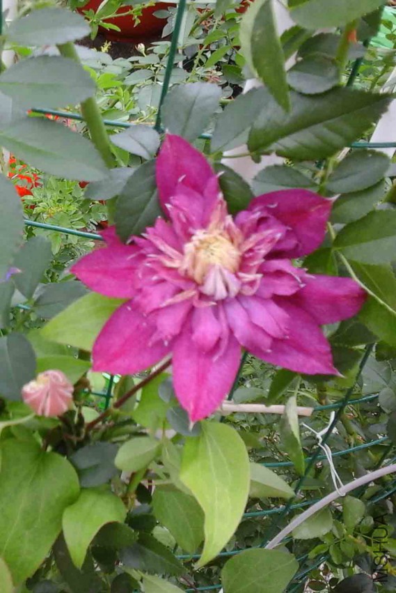 7�¿��Ļʶȣ���ɫ��������ذ��