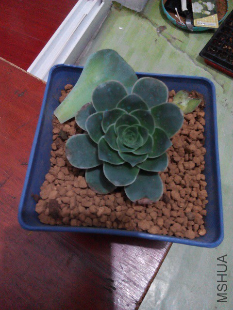 ���ǽ��껻�����