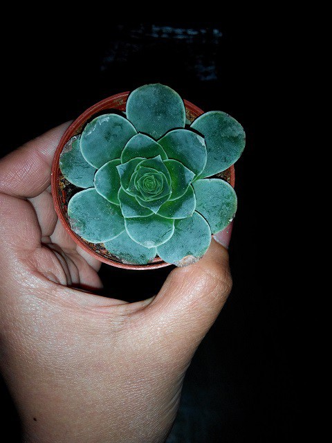 �����û�����