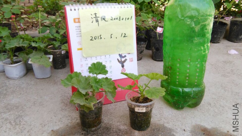 ���룬���10��С��8