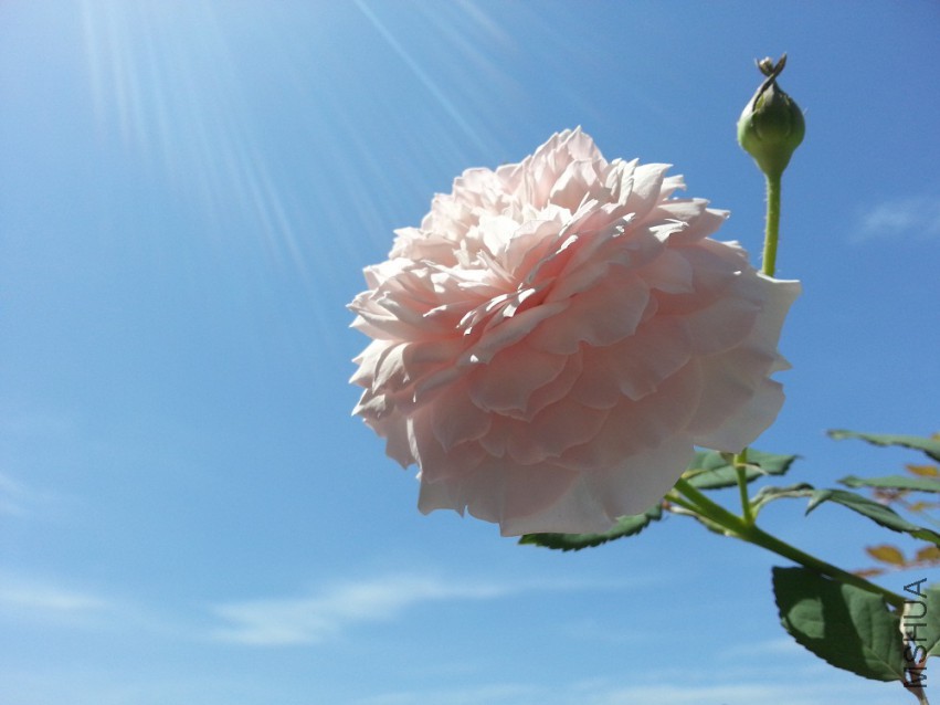 WP_20150512_004.jpg