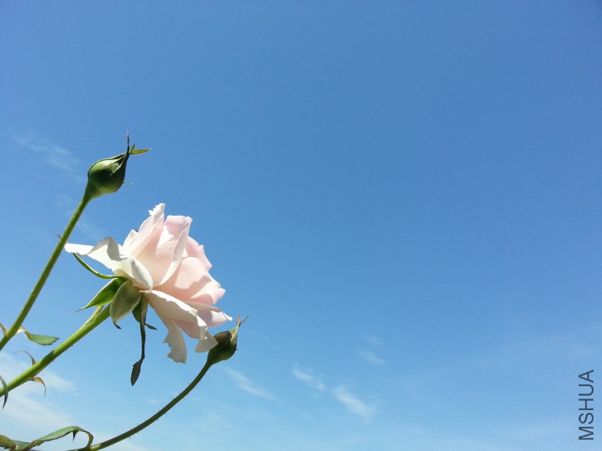 WP_20150512_009.jpg