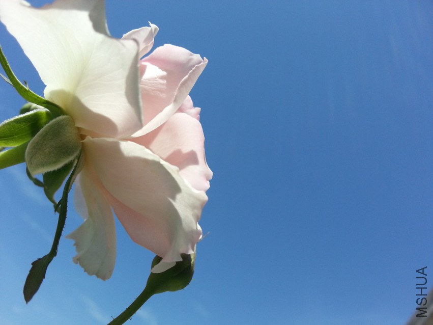 WP_20150512_010.jpg